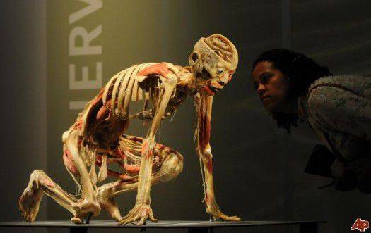 colombia-human-body-exhibition-2009-11-19-15-40-56
