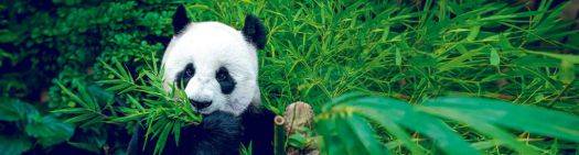 header-landing-1120x300px_0