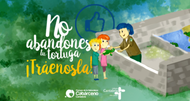 cabarceno-adoptara-tortugas-domesticas