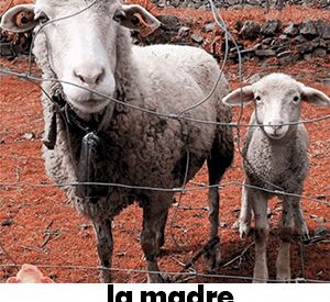 La Madre del Cordero - Bravías Teatro