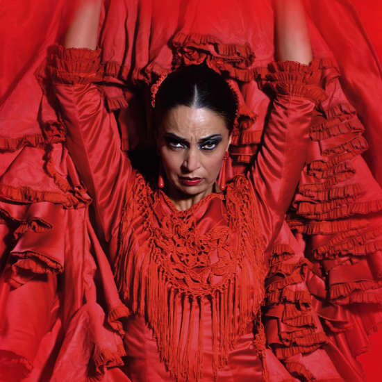 Teatro Flamenco Granada