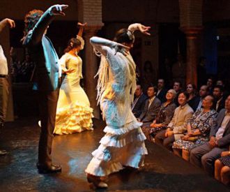 Museo del Baile Flamenco de Cristina Hoyos