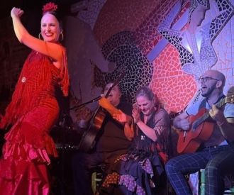 Tablao Flamenco El Toro y la Luna Espectáculo & Cena & Bebida