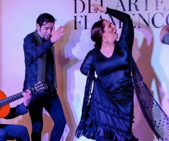 Casa del Arte Flamenco: Danza tradicional en Granada