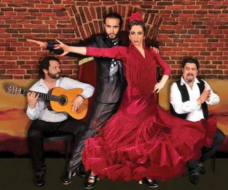 Essential Flamenco