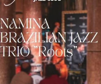 Namina Brazilian Jazz Trio Roots