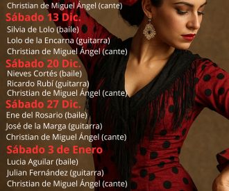 Décimo Ciclo de Flamenco en Taberna j&j
