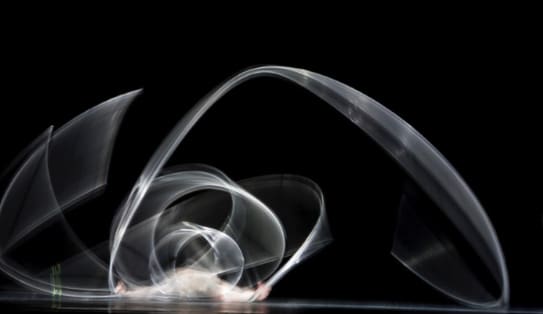 Verwandlung | Teshigawara -  Ballett Basel