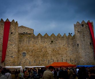 Castell Medieval