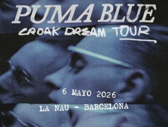 Puma Blue