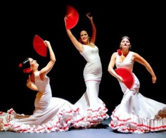 Flamenco Show la Exclusiva