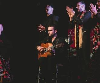 Espectáculo Flamenco Tradicional en Casa Ana Granada