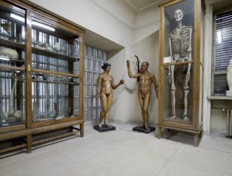 Museo Anatomía Javier Puerta