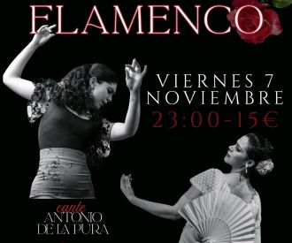 Trasnoche Flamenco