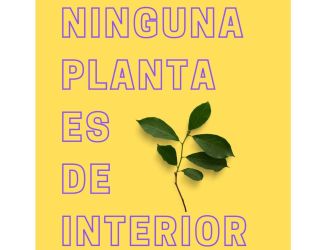 Ninguna Planta es de Interior