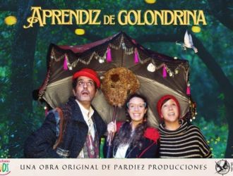 Aprendiz de Golondrina