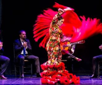 Emociones: Flamenco puro en el corazón de Madrid