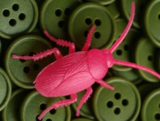 Cucaracha de Julián Fuentes Reta