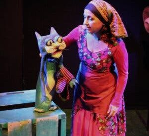 La Castanyera Perduda de sim Salambín