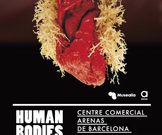 Human Bodies