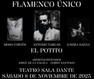 Flamenco Único - El Potito