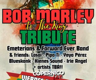 Bob Marley - Tribute to the King
