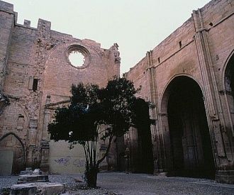 Ruinas de la Iglesia de San Pedro en Viana