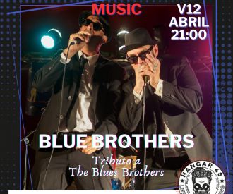 Blue Bothers Tribute Band