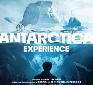 Antarctica Experience