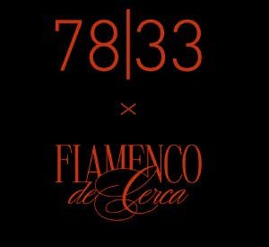 Experiencia Flamenco Boutique