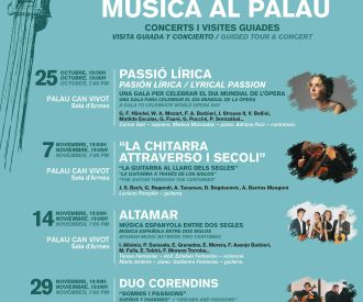 La Chitarra Attraverso i Secoli