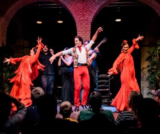 Espectáculo en el Museo del Baile Flamenco