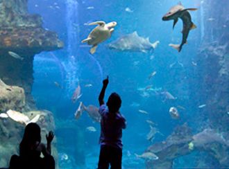 Aquarium de San Sebastián