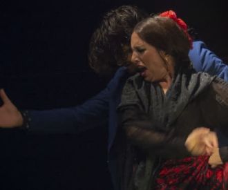 Espectáculo flamenco en vivo en El Gallo Ronco