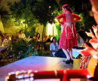 Espectáculo Flamenco con Cena en Jardines de Zoraya