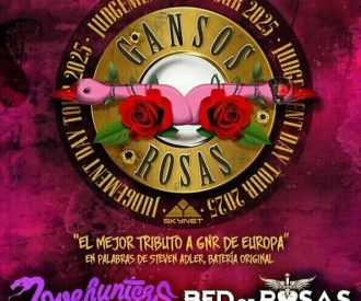 Rock n Roses Fest