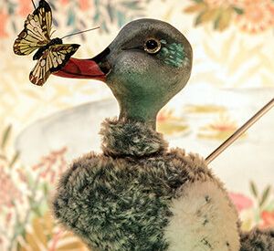 L'Aneguet Lleig - Cia. La Puntual