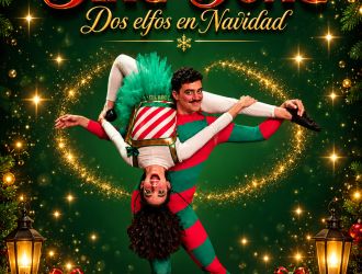 Ding Dong, dos Elfos en Navidad