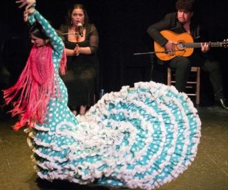 Espectáculo de flamenco en el Teatro Triana