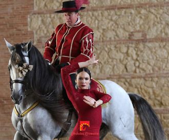 Córdoba Ecuestre: Pasión y Duende del Caballo Andaluz