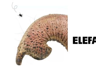 El Elefante - cía con Causa