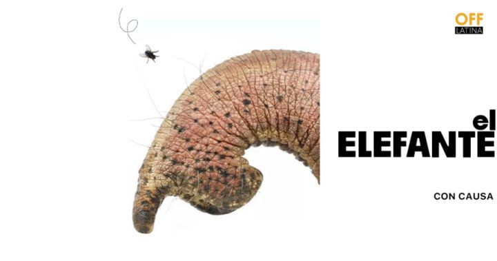 El Elefante - cía con Causa