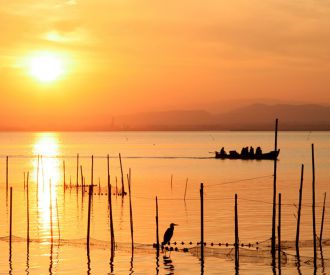 Albufera Bus Turistico