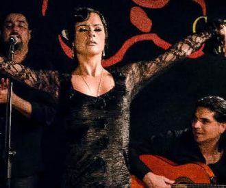 Espectáculo Flamenco Las Carboneras