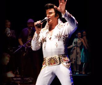 Elvis Vive