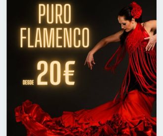 Tablao Flamenco Tradicional