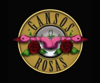 Gansos Rosas