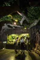 Acuario de Sevilla 23