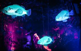 Naturaleza Encendida en Madrid 18