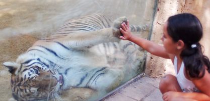 Oasys Parque Temático - Mini Hollywood 9